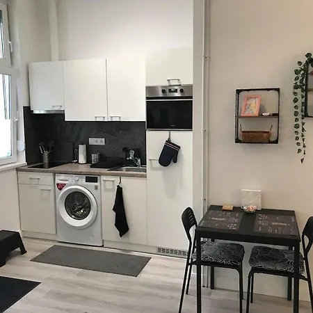 Apartmán Near To Park,a Newly Decorated Fully Equipped Walking Distance To The Puskas Arena ,city Park Where Will Find The World Famous Szechenyi Thermal Bath Spa, Museums ,and The Capital Circus ,ac, Smart Tv, High Speed Internet *