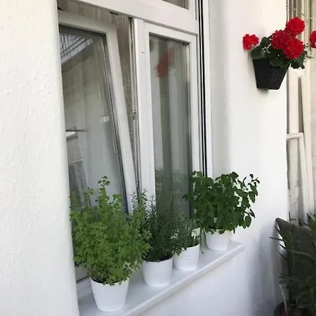 Apartment Park Oasis: Modern Near Szechenyi Bath
